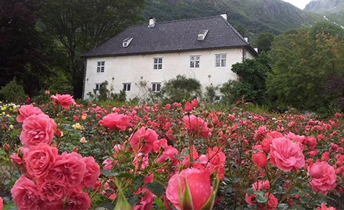 rosehagen