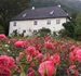 rosehagen