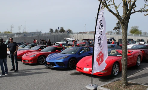 vaarm%c3%b8nstring kvadrat small